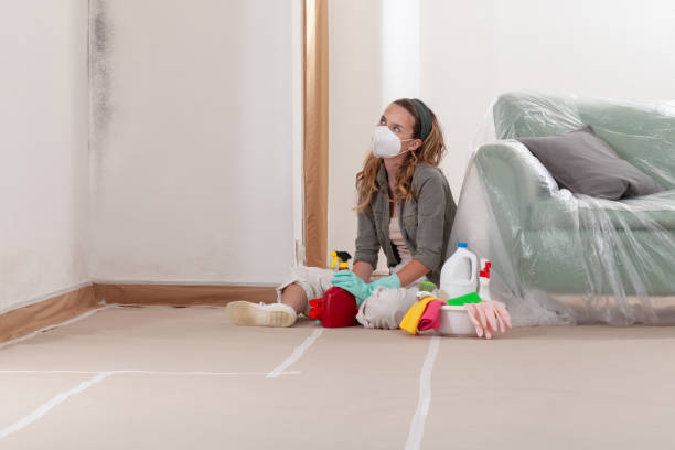 Reliable Mold Inspection contractor in Landisburg, PA by WQB Mold Removal